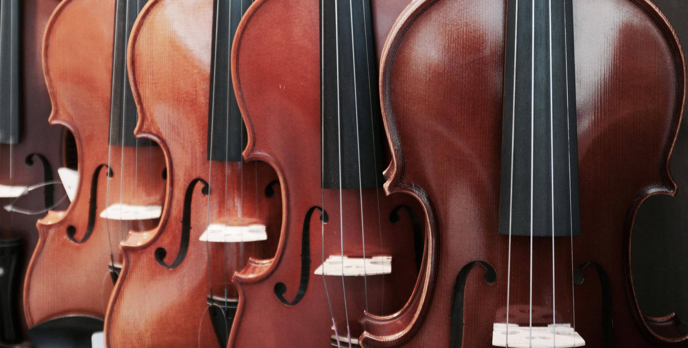 violins